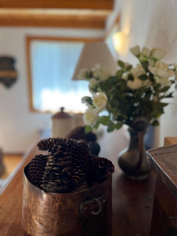 Chalet Blanc "Le Flocon" クールマイユール エクステリア 写真