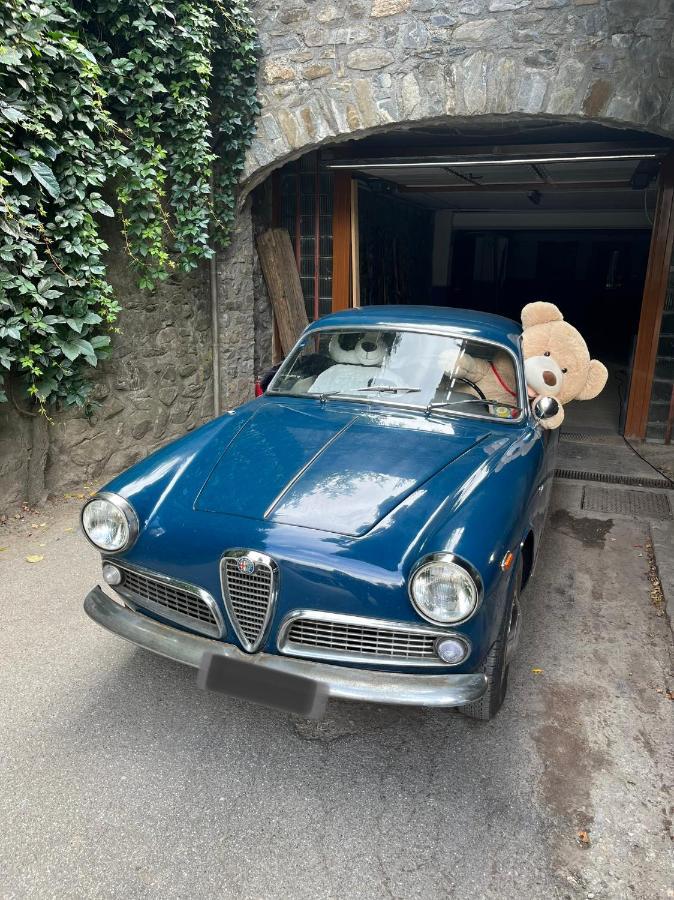 Chalet Blanc "Le Flocon" クールマイユール エクステリア 写真